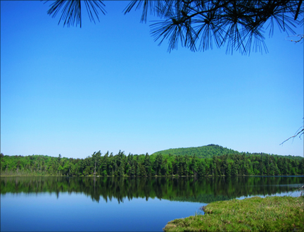 Barnum Pond from the Boreal Life Trail overlook